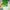 Nike Streetwear Harrington jacket Pria green photo 2