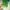Nike Streetwear Harrington Jacket Pria Green