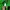 Nike Streetwear Harrington jacket Pria green photo 4