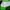 Nike Streetwear Harrington jacket Pria green photo 3