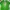 Nike Streetwear Harrington jacket Pria green photo 1