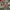 Raider on the strom winter jacket quilted anak hijau olive  photo 5