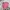 Monogram Sherpha Jacket Anak Perempuan Mlb Boston Pink Cakep