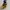 Lego batman girl purple yellow photo 2