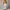 BASIC POLO SHIRT BY PROJECT M photo 2