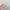 Vivienne Westwood Y2K Lolita Flat Wanita pink photo 3