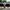 VANS Streetwear Casual Sneakers Pria white black photo 3