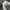 Affliction zaxon USA aop Skull  photo 3