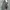 Nike Air Jordan Streetwear Casual Sneakers Pria green photo 5