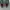 Nike Air Jordan Streetwear Casual Sneakers Pria green photo 4