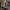 Vintage 90s Tezuka Osamu ASTRO BOY Holographic 3D photo 3