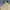 Celana pendek vintage polo ralph lauren beige photo 4