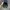 Von Dutch Denim Trucker Hats photo 4