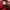 Manchester United 2020-2021 Original photo 4