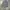 BARBOUR INTERNATIONAL  STEVE MCQUEEN COLLECTION  SLIM FIT BU photo 4