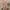 Made in USA Vintage Cottagecore Kids multicolor photo 3