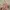 Made In USA Vintage Cottagecore Kids Multicolor