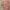Made In USA Vintage Cottagecore Kids Multicolor
