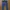 Cotton On Streetwear Sportswear Legging Kids Navy
