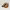 Beverly Hills Polo Club Luxury Loafer Pria brown photo 2