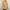 Japanese brand Luxury Minimalist Fur coat Wanita brown photo 2