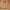 Japanese brand Luxury Minimalist Fur coat Wanita brown photo 1