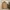 Japanese brand Luxury Minimalist Fur coat Wanita brown photo 4