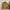 Japanese brand Luxury Minimalist Fur coat Wanita brown photo 3