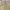 OBEY Clothing Baggy Pleated Pants Khaki photo 5