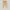 OBEY Clothing Baggy Pleated Pants Khaki photo 4