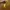Charles and Keith Luxury Handbag Wanita green photo 1