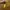 Charles And Keith Luxury Handbag Wanita Green