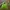 Charles and Keith Luxury Handbag Wanita green photo 3