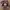 Charles and Keith Luxury Shoulder bag Wanita tan photo 4