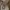ALDO Luxury Shoulder bag Wanita gold photo 2