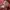Karakuri Tamashii Vintage Streetwear Bomber jacket Pria burgundy photo 5