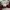 Karakuri Tamashii Vintage Streetwear Bomber jacket Pria burgundy photo 8