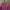 Sportswear Pea coat Kids burgundy photo 2