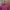 Sportswear Pea Coat Kids Burgundy