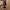 Charles and Keith Luxury Handbag Wanita black photo 1