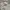 Teenie Weenie Hoody Wanita Gray