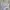 White Long Dress photo 7