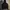 Edelweiss Outdoor Jacket Original photo 8