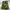 Shorts Cargo Pants Camouflage 3/4