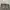 Uknown Cargo Pants Camouflage photo 6