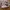 Adidas Biker Sneakers Wanita white photo 2