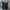 Sherpa Firstdown Ultility Jacket 
