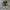 Converse 70s Hi Black White Original Guaranted 100% photo 3