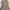 Abstrack Vintage Summer Long Dress photo 4
