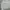 Crocodile Casual Harrington jacket Pria white photo 5